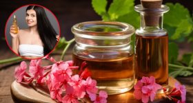 Geranium Oil: జెరేనియం ఆయిల్ ఇలా వాడితే జుట్టు రాలడం తగ్గి, ఒత్తుగా పెరుగుతుంది తెలుసా ?