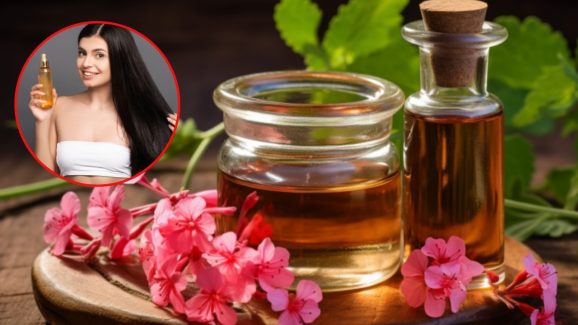 Geranium Oil: జెరేనియం ఆయిల్ ఇలా వాడితే జుట్టు రాలడం తగ్గి, ఒత్తుగా పెరుగుతుంది తెలుసా ?