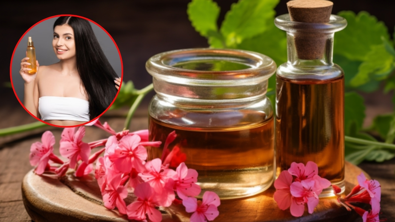 Geranium Oil: జెరేనియం ఆయిల్ ఇలా వాడితే జుట్టు రాలడం తగ్గి, ఒత్తుగా పెరుగుతుంది తెలుసా ?