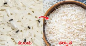 Switchboard Cleaning: స్విచ్ బోర్డులు నల్లగా మారాయా ? ఇలా చేస్తే క్షణాల్లోనే మెరిసిపోతాయ్