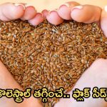 Flax Seeds: అవిసె గింజలతో.. కొలెస్ట్రాల్ కంట్రోల్