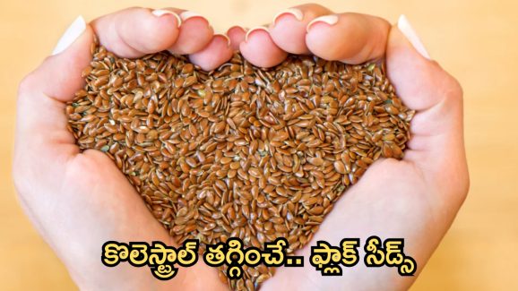 Flax Seeds: అవిసె గింజలతో.. కొలెస్ట్రాల్ కంట్రోల్
