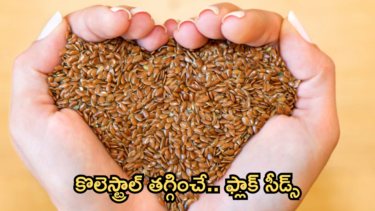Flax Seeds: అవిసె గింజలతో.. కొలెస్ట్రాల్ కంట్రోల్