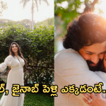 Akkineni Akhil : అఖిల్ – జైనాబ్ పెళ్లి అక్కడే.. ఫ్యామిలీ సెంటిమెంటా..?