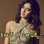 Ananya Pandey : యంగ్ క్రికెటర్ తో లైగర్ బ్యూటీ పెళ్లి ఫిక్స్..?