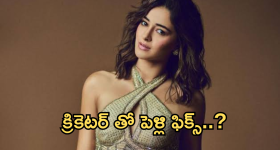 Ananya Pandey : యంగ్ క్రికెటర్ తో లైగర్ బ్యూటీ పెళ్లి ఫిక్స్..?