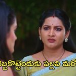 Intinti Ramayanam Today Episode :  అవనికి షాకిచ్చిన అక్షయ్.. హాస్పిటల్ లో తల్లి మాయం.