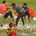 Bigg Boss 8 Telugu : మెగా చీఫ్ కోసం నిఖిల్ పోరాటం.. అవినాష్ తో నబీల్ మ్యాచ్ ఫిక్సింగ్..