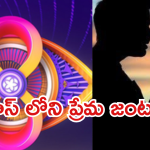 Love Stories In Bigg Boss : బిగ్ బాస్ లో చీకటి ప్రేమలు..అర్ధరాత్రి ఆ పనిచేస్తూ దొరికిన కంటెస్టెంట్స్..