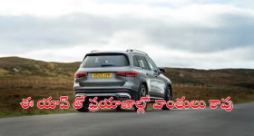 Jangalapalli Incident: ఆ గ్రామానికి ఏమైంది? నెలన్నర వ్యవధిలో 20 మరణాలు? కారణం అదేనంటున్న గ్రామస్థులు..