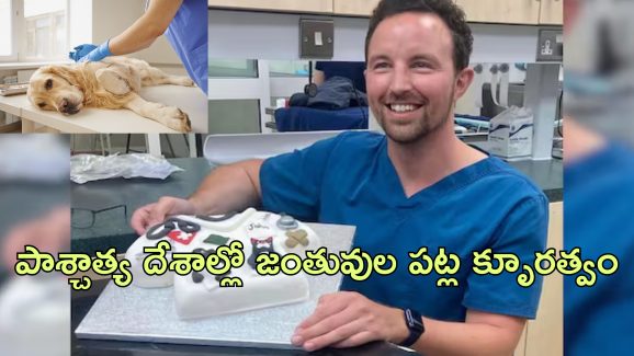 Veterinarian Suicide: ఇక మూగజీవాలను చంపే ఉద్యోగం చేయలేను.. పశువుల డాక్టర్ సూసైడ్ లెటర్