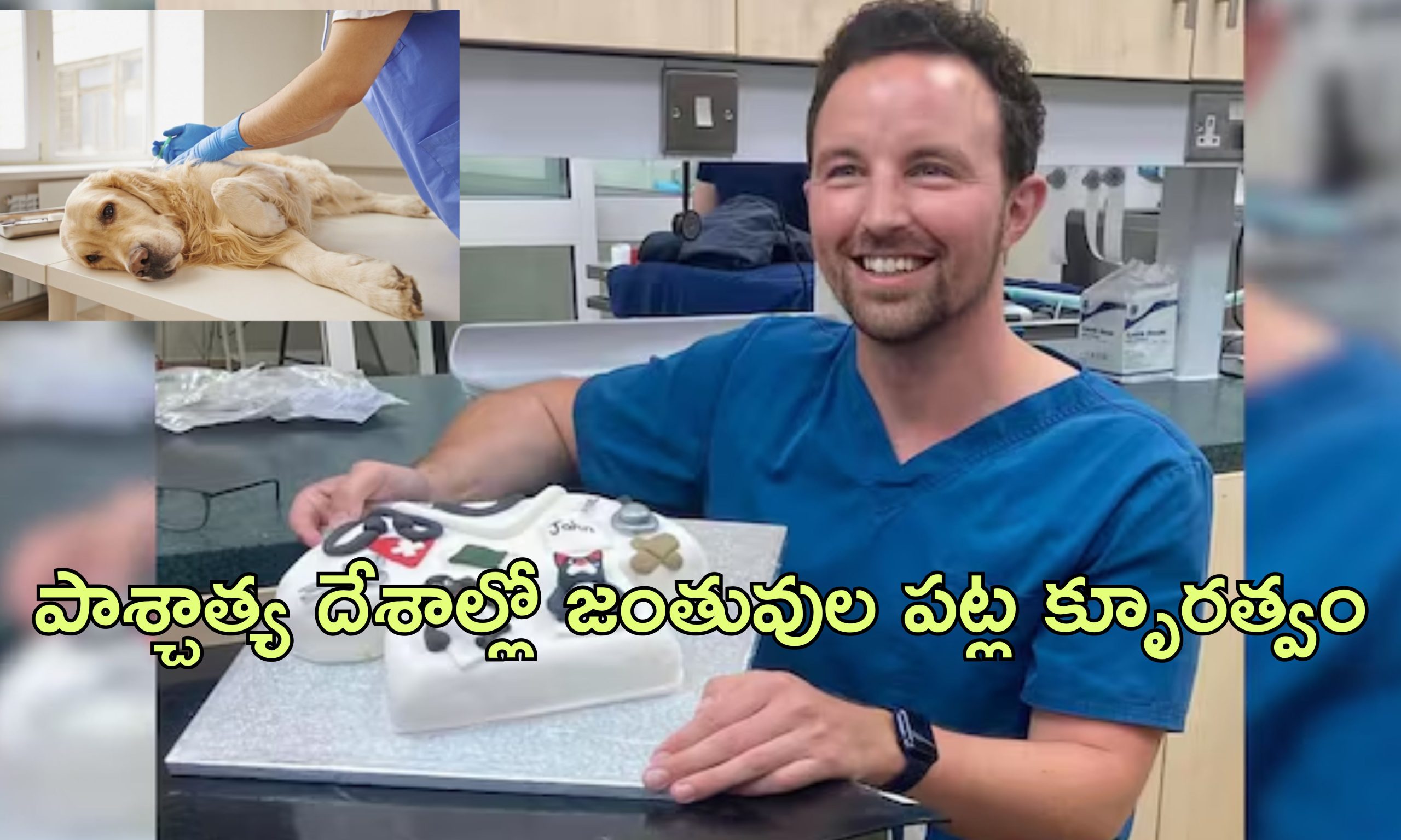 Veterinarian Suicide: ఇక మూగజీవాలను చంపే ఉద్యోగం చేయలేను.. పశువుల డాక్టర్ సూసైడ్ లెటర్