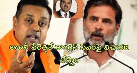 Smallest Train: దేశంలో అతి చిన్న రైలు.. ఎక్కడైనా చెయ్యెత్తి ఎక్కొచ్చు!
