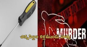 Peddireddy Ramachandra Reddy: పెద్ది రెడ్డిపై వైసీపీ లీడర్ల తిరుగుబాటు.. షాక్ తప్పదా..?