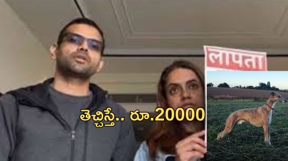 Missing Dog Reward: మేలైనజాతి కుక్క.. ఆచూకీ తెలిపితే రూ.20000.. వెతికిపెట్టండి ప్లీజ్!