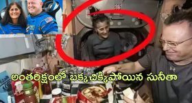 Shraddha Srinath: బాలకృష్ణ గారి పక్కన నటించడం నా లక్ కాదు