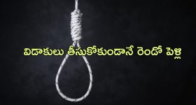 Maharashtra Election Results: మహాయుతికే మళ్లీ పట్టం.! ఆరుగురిలో ఎవరు సీఎం.?