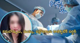 Cosmetic surgeries Death : అందం కోసం ఒకే రోజు 6 ఆపరేషన్లు.. యువతి మృతి.. డాక్టర్లకు ఏ శిక్ష పడిందంటే..