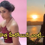 Tollywood Industry : టాలీవుడ్ లోకి కొత్త హీరోయిన్ ఎంట్రీ.. బ్యాగ్రౌండ్ ఏంటో తెలుసా..?