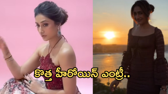 Tollywood Industry : టాలీవుడ్ లోకి కొత్త హీరోయిన్ ఎంట్రీ.. బ్యాగ్రౌండ్ ఏంటో తెలుసా..?