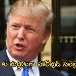 US Election 2024 : అమెరికా అధ్యక్షుడిగా ట్రంప్.. మద్దతు తెలిపిన హాలీవుడ్ ప్రముఖులు ఎవరంటే?