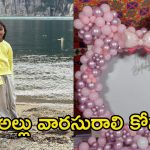 Allu Arha: సారథి స్టూడియోస్‌లో అల్లు అర్హ బర్త్ డే వేడుకలు.. సినిమా రేంజ్‌లో భారీ సెట్