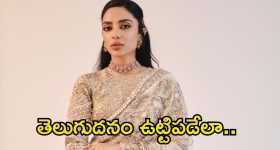 Lizards in Vizag Airport: విమానంలో స్మగ్లింగ్.. పట్టుకున్న కస్టమ్స్ అధికారులు.. అన్నీ వింత జీవులే!