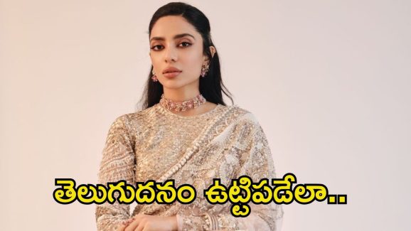 Sobhita Dhulipala Wedding Jewelry: ఏడు వారాల నగలతో పెళ్లి కోసం ముస్తాబవ్వనున్న శోభితా.. దాంతో పాటు మరెన్నో