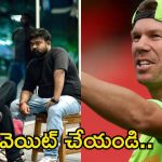 Robinhood Movie: ‘రాబిన్‌హుడ్’లో డేవిడ్ వార్నర్ గెస్ట్ రోల్.. అదే సస్పెన్స్ అంటున్న డైరెక్టర్