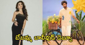 Pushpa 2 Tickets : "పుష్ప 2" క్రేజ్ ను క్యాష్ చేసుకుంటున్న యాప్... ఇందులో ఆర్డర్ చేస్తే టికెట్ ఫ్రీ