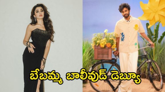 Krithi Shetty: ‘బేబి’ హిందీ రీమేక్‌లో కృతి శెట్టి.. స్టార్ కిడ్‌తో జోడీకి రెడీ