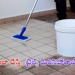 Floor Cleaning Tips: టైల్స్ మురికిగా మారాయా ? ఇలా చేస్తే.. క్షణాల్లోనే మెరిసిపోతాయ్