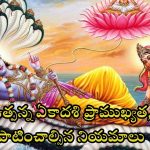 Utpanna Ekadashi 2024: ఉత్పన్న ఏకాదశి రోజు ఇలా చేస్తే.. అన్ని పాపాలు తొలగిపోతాయ్