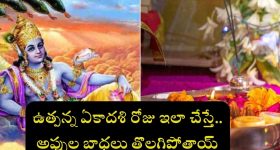 Utpanna Ekadashi 2024: ఉత్పన్న ఏకాదశి రోజు ఈ ఒక్క పరిహారం చేస్తే.. అప్పుల బాధలు తొలగిపోతాయ్