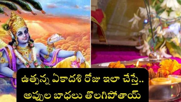 Utpanna Ekadashi 2024: ఉత్పన్న ఏకాదశి రోజు ఈ ఒక్క పరిహారం చేస్తే.. అప్పుల బాధలు తొలగిపోతాయ్