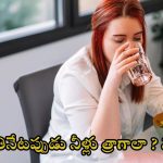 Drinking water: భోజనం చేసేటప్పుడు నీళ్లు త్రాగాలా? వద్దా ? నిపుణులు ఏం చెబుతున్నారంటే..