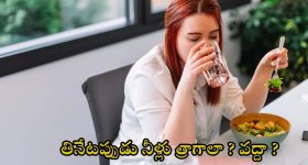 Drinking water: భోజనం చేసేటప్పుడు నీళ్లు త్రాగాలా? వద్దా ? నిపుణులు ఏం చెబుతున్నారంటే..