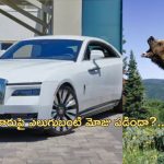 Bear Rolls Royce Insurance: లగ్జరీ కారుపై ఎలుగుబంటి దాడి.. ఇన్షురెన్స్ డబ్బులు ఇవ్వడం కుదరదన్న కంపెనీ.. సిసిటీవిలో..