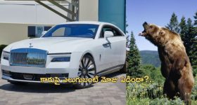 Bear Rolls Royce Insurance: లగ్జరీ కారుపై ఎలుగుబంటి దాడి.. ఇన్షురెన్స్ డబ్బులు ఇవ్వడం కుదరదన్న కంపెనీ.. సిసిటీవిలో..