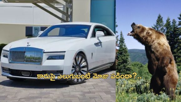 Bear Rolls Royce Insurance: లగ్జరీ కారుపై ఎలుగుబంటి దాడి.. ఇన్షురెన్స్ డబ్బులు ఇవ్వడం కుదరదన్న కంపెనీ.. సిసిటీవిలో..