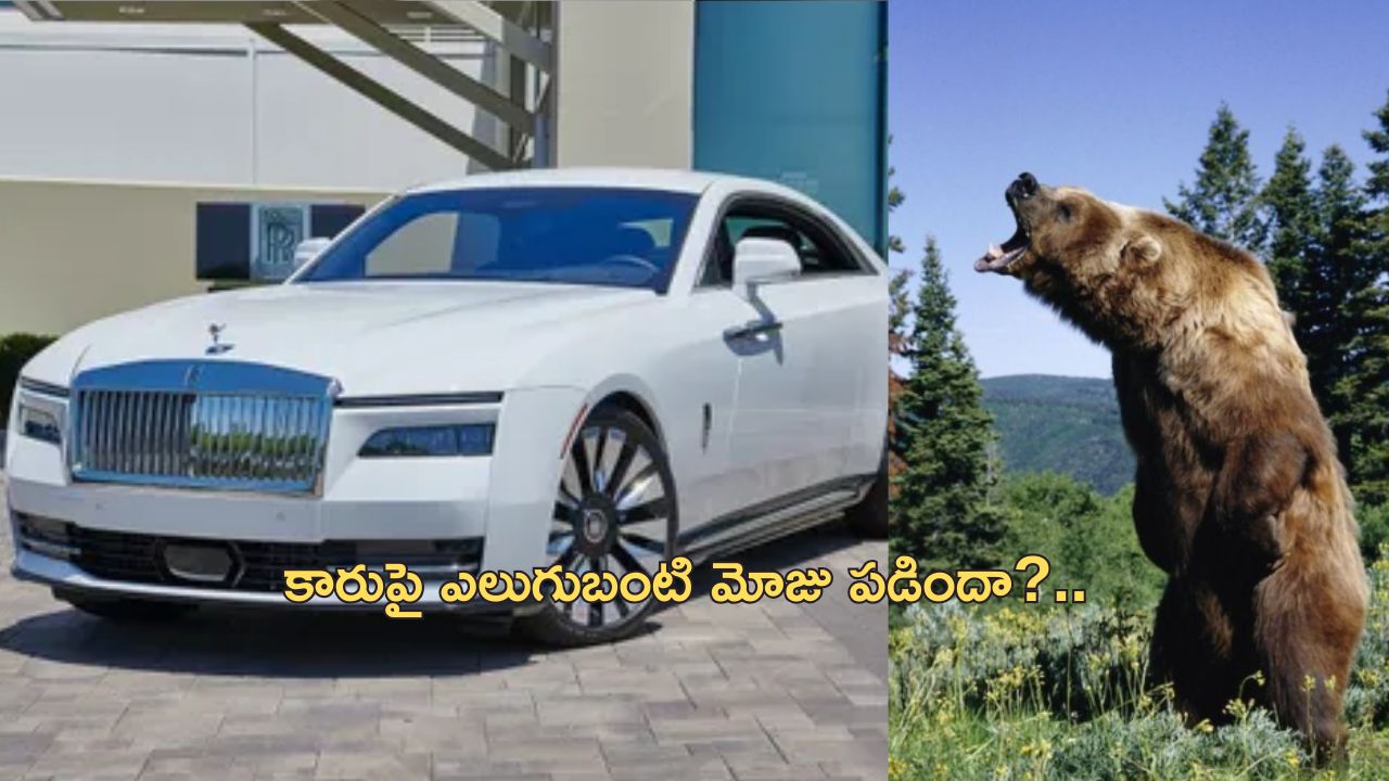 Bear Rolls Royce Insurance: లగ్జరీ కారుపై ఎలుగుబంటి దాడి.. ఇన్షురెన్స్ డబ్బులు ఇవ్వడం కుదరదన్న కంపెనీ.. సిసిటీవిలో..