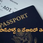 Most Expensive Passport: ప్రపంచంలో ఖరీదైన పాస్‌పోర్ట్ ఈ దేశానిదే.. ఇండియా కన్నా చీప్‌గా మరో దేశంలో..