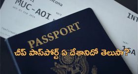 Most Expensive Passport: ప్రపంచంలో ఖరీదైన పాస్‌పోర్ట్ ఈ దేశానిదే.. ఇండియా కన్నా చీప్‌గా మరో దేశంలో..