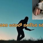 Butcher Kills Live-in Partner: మనిషి చేయిని తీసుకువచ్చిన కుక్క.. మహిళను 40 ముక్కులుగా నరికివేసిన కసాయి