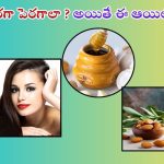 Best Oil For Hair: జుట్టు త్వరగా పెరగాలా ? అయితే ఈ ఆయిల్ వాడండి