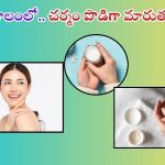 Winter Skin Care: చలికాలంలో స్కిన్ పొడిబారుతుందా ? వీటితో స్మూత్ స్కిన్