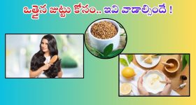 Hair Growth Tips: ఒత్తైన జుట్టు కావాలా ? అయితే ఇవి వాడండి