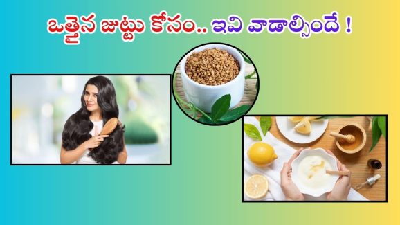 Hair Growth Tips: ఒత్తైన జుట్టు కావాలా ? అయితే ఇవి వాడండి