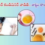 Hair Conditioner: ఈ హెయిర్ కండిషనర్ వాడితే.. జుట్టు రాలనే రాలదు