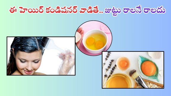 Hair Conditioner: ఈ హెయిర్ కండిషనర్ వాడితే.. జుట్టు రాలనే రాలదు